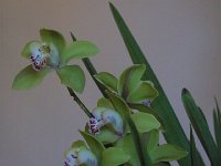 RxzFWtDGSHOKBkhRWF 6Rw : iPhoto Original