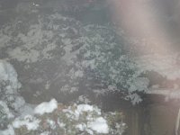 lK3QzMrHT6i0c2BZje9w g : iPhoto Original