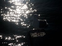 13gmWSWdTLGjWayJlJPONQ : iPhoto Original