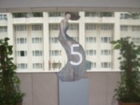 OUG8Qz pSPWdqjmupUSX3w : iPhoto Original