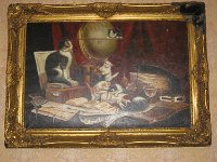 7V81PBIsRnSI7KzF4By63Q : cats, IETF-72, iPhoto Original